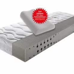 Kaltschaummatratze + Kissen Pro Body S 592 11 Kaltschaummatratze + Kissen Pro Body S 592 -Maison Verkäufe FJPG S700 1071
