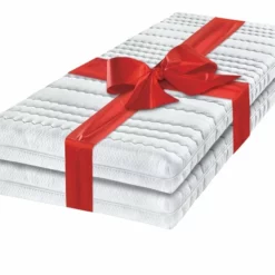 Kaltschaummatratze 2er Set 2x Tessa 100x200 Cm H3