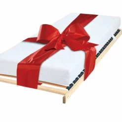 Matratzen-/Rahmen-Set Jordis & Mediflex