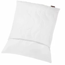 Kopfkissen Regeneration 80 X 80 Cm -Maison Verkäufe FJPG S700 371