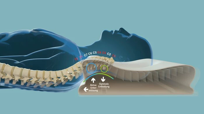 Nackenkissen Neck Protect 40 X 60 Cm 4 Nackenkissen Neck Protect 40 X 60 Cm - Image 4